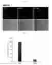 Fig. 09 - Method of using methylene blue nanoparticle for detecting cancer by bioimaging