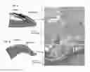 Fig. 07 - Patch graft compositions for cell engraftment