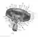 Fig. 01 - Pulsating imitation speaker