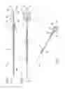 Fig. 02 - Device for collecting, transferring, and storing samples of a biological and/or chemical material