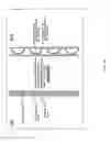 Fig. 25 - ADAPTIVE SMART TEXTILES, METHOD OF PRODUCING THEM, AND APPLICATIONS THEREOF