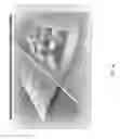 Fig. 41 - ADAPTIVE SMART TEXTILES, METHOD OF PRODUCING THEM, AND APPLICATIONS THEREOF