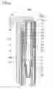 Fig. 07 - Retractable writing instrument