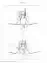 Fig. 15 - Aircraft