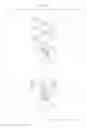 Fig. 16 - Aircraft
