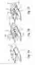 Fig. 02 - Tube type pneumatic deicers