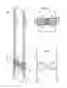 Fig. 02 - Rope-climbing self propelled elevator system