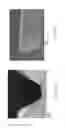 Fig. 07 - Microneedles