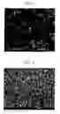 Fig. 02 - Silver-coated graphite particles, silver-coated graphite mixed powder and production method therefor, and conductive paste