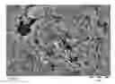 Fig. 01 - Process for preparing a boron containing zeolitic material having MWW framework structure