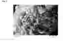 Fig. 07 - Process for preparing a boron containing zeolitic material having MWW framework structure
