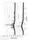 Fig. 07 - Glass having exceptional crack resistance