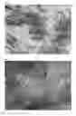 Fig. 06 - Process for the preparation of enclomiphene citrate having needle shaped crystal habit