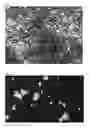 Fig. 07 - Process for the preparation of enclomiphene citrate having needle shaped crystal habit