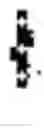 Fig. 02 - Water-soluble L-DOPA esters