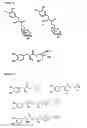 Fig. 04 - Water-soluble L-DOPA esters