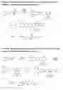 Fig. 07 - Water-soluble L-DOPA esters