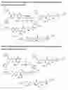 Fig. 22 - Water-soluble L-DOPA esters