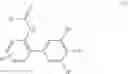 Fig. 02 - Process for preparing biphenylamines from anilides by ruthenium catalysis
