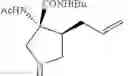 Fig. 47 - Method of preparing (3R,4S)-3-acetamido-4-allyl-N-(tert-butyl)pyrrolidine-3-carboxamide
