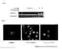 Fig. 02 - Pyrimido-diazepinone kinase scaffold compounds and methods of treating disorders