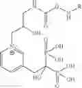 Fig. 02 - BONE ACTIVE NITROGEN-CONTAINING BISPHOSPHONATES WITH A NEAR INFRARED FLUORESCENT LABEL