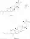 Fig. 114 - Analogs of celastrol