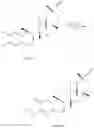 Fig. 119 - Analogs of celastrol