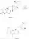 Fig. 121 - Analogs of celastrol