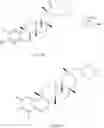 Fig. 124 - Analogs of celastrol