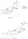 Fig. 140 - Analogs of celastrol