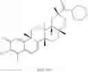 Fig. 163 - Analogs of celastrol