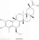Fig. 165 - Analogs of celastrol