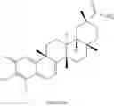 Fig. 166 - Analogs of celastrol