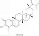 Fig. 168 - Analogs of celastrol