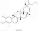Fig. 169 - Analogs of celastrol