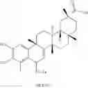 Fig. 173 - Analogs of celastrol