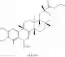 Fig. 174 - Analogs of celastrol