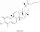 Fig. 176 - Analogs of celastrol