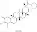Fig. 182 - Analogs of celastrol