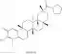 Fig. 183 - Analogs of celastrol