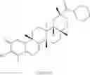 Fig. 184 - Analogs of celastrol