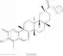 Fig. 187 - Analogs of celastrol