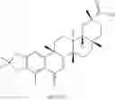 Fig. 192 - Analogs of celastrol