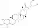 Fig. 194 - Analogs of celastrol