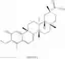 Fig. 196 - Analogs of celastrol