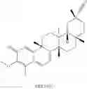 Fig. 203 - Analogs of celastrol