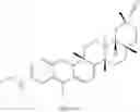 Fig. 208 - Analogs of celastrol