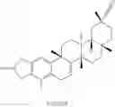 Fig. 212 - Analogs of celastrol