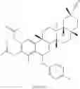 Fig. 216 - Analogs of celastrol